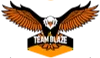 Team Blaze